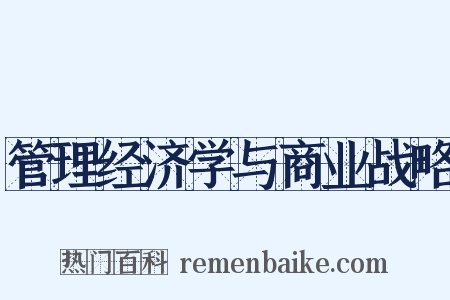 管理经济学与商业战略是什么意思的图片
